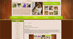 Desktop Screenshot of kralici-usaci.blog.cz