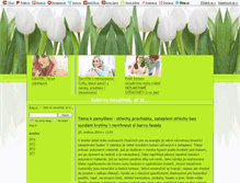 Tablet Screenshot of borris-web.blog.cz