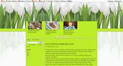 Desktop Screenshot of kardan-web.blog.cz