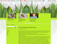 Tablet Screenshot of kardan-web.blog.cz