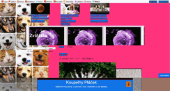 Desktop Screenshot of lindajana.blog.cz