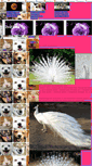 Mobile Screenshot of lindajana.blog.cz