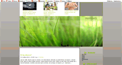 Desktop Screenshot of lieben-pferde.blog.cz