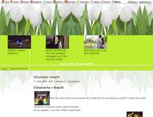 Tablet Screenshot of pavluvblogprovsechny.blog.cz