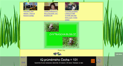 Desktop Screenshot of chytrasova.blog.cz