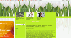 Desktop Screenshot of optimalizace-pro-vyhledavace-seo.blog.cz