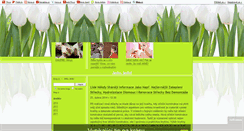 Desktop Screenshot of corp-stranka.blog.cz