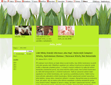 Tablet Screenshot of corp-stranka.blog.cz
