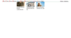 Desktop Screenshot of majaabaja.blog.cz