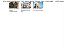 Tablet Screenshot of majaabaja.blog.cz