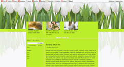 Desktop Screenshot of kong-sajt.blog.cz