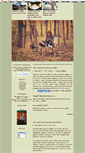 Mobile Screenshot of internet-magazine.blog.cz