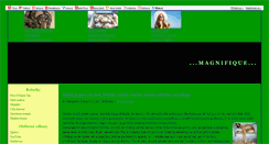 Desktop Screenshot of magnifique.blog.cz