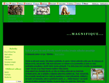 Tablet Screenshot of magnifique.blog.cz