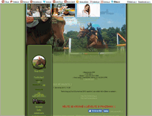 Tablet Screenshot of dressage-sport.blog.cz
