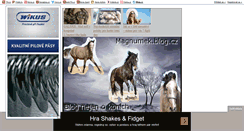 Desktop Screenshot of magnumek.blog.cz