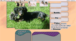 Desktop Screenshot of dogs-lady-dogs.blog.cz