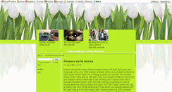 Desktop Screenshot of m1ovrs9l.blog.cz