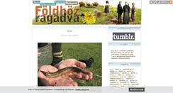 Desktop Screenshot of anyafold.blog.hu