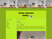 Tablet Screenshot of plzenskecincily.blog.cz