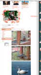 Mobile Screenshot of nasiptaci.blog.cz