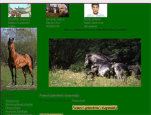 Tablet Screenshot of equus444.blog.cz