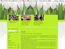 Tablet Screenshot of mu-zi-ka.blog.cz