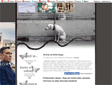 Tablet Screenshot of pomahejte-jim.blog.cz