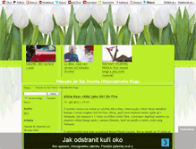 Tablet Screenshot of hitparadovy.blog.cz