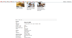 Desktop Screenshot of korn-links.blog.cz