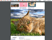 Tablet Screenshot of nactilete.blog.cz