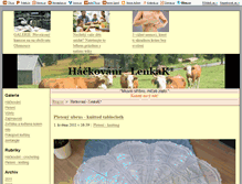 Tablet Screenshot of lenkaks.blog.cz