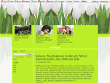 Tablet Screenshot of nikola-w-e-b.blog.cz