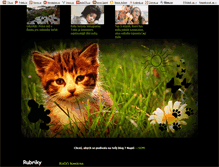 Tablet Screenshot of nickyblogeees.blog.cz