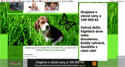 Desktop Screenshot of eli-cool.blog.cz