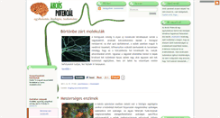 Desktop Screenshot of akciospotencial.blog.hu