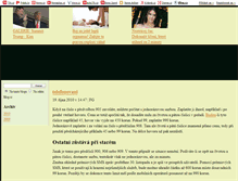 Tablet Screenshot of flayergun.blog.cz