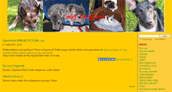 Desktop Screenshot of novy.blog.cz