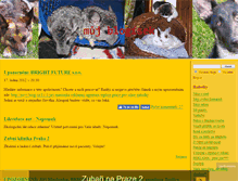 Tablet Screenshot of novy.blog.cz