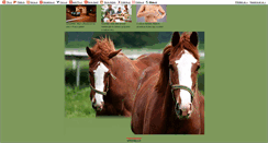 Desktop Screenshot of lena-horses.blog.cz