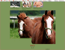 Tablet Screenshot of lena-horses.blog.cz