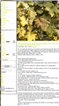 Mobile Screenshot of nanny-temari.blog.cz