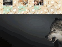 Tablet Screenshot of blogdog.blog.cz